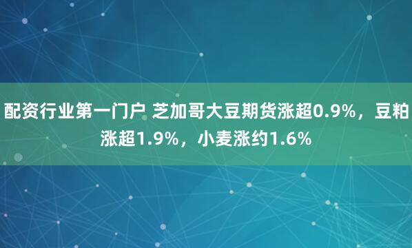 配资行业第一门户 芝加哥大豆期货涨超0.9%，豆粕涨超1.9%，小麦涨约1.6%